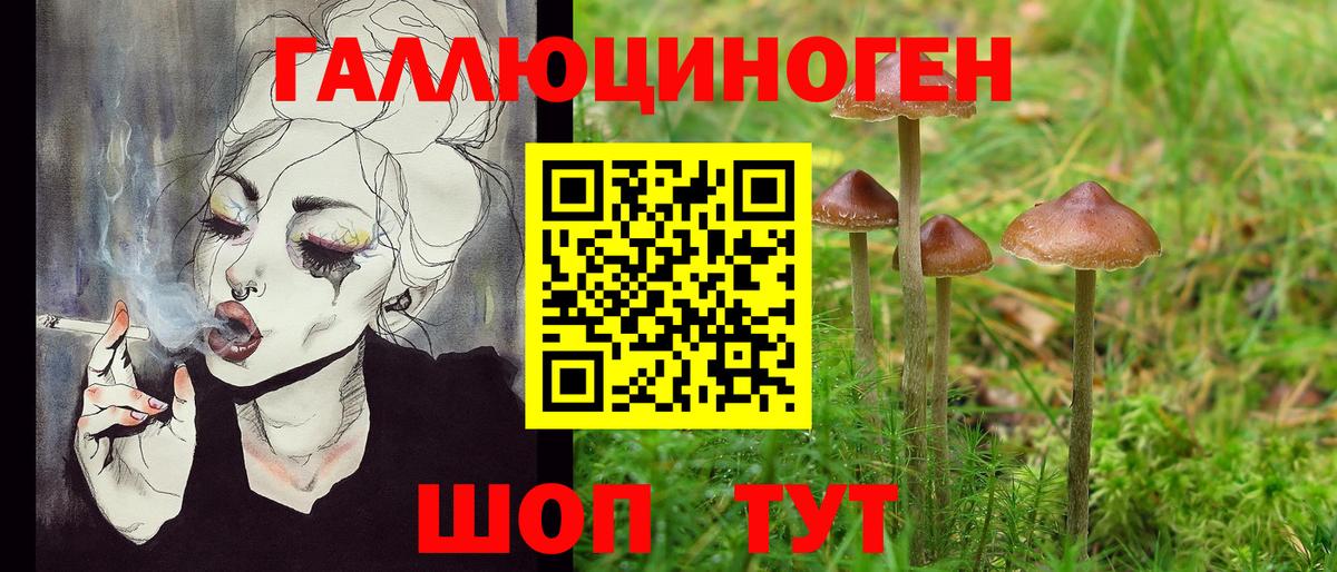 Псилоцибиновые грибы Psilocybe Нягань